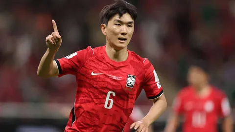 2026攻略精准捕捉双鱼之选，三连红精选策略