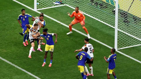 东南锦赛事追踪2026世界杯：两日两胜，今日再战全胜目标